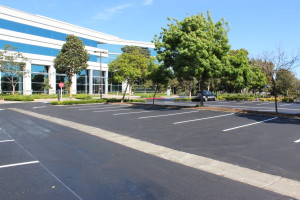Recently Complete Project 