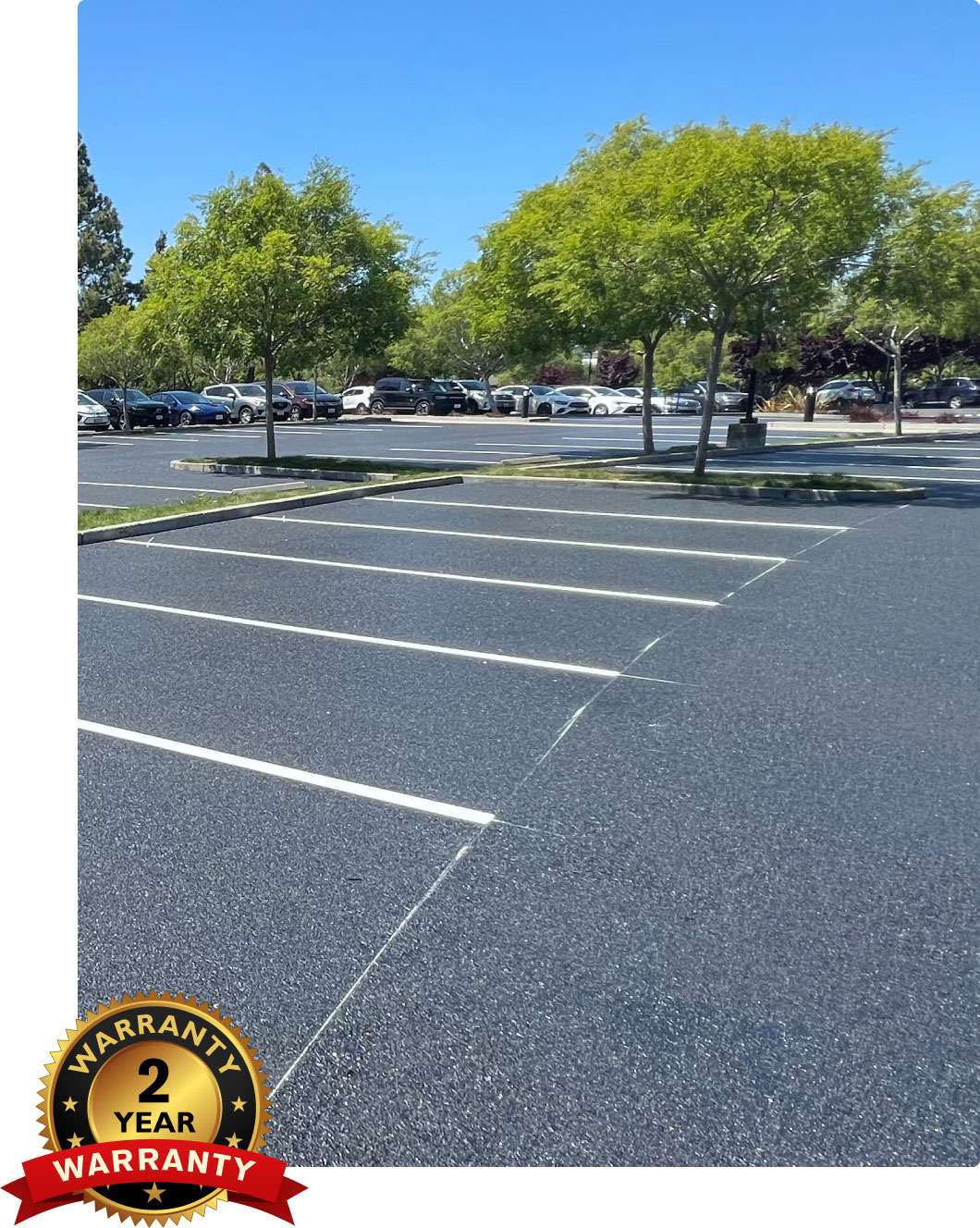 calvac paving asphalt paving parking lot in San Jose 2 year warranty